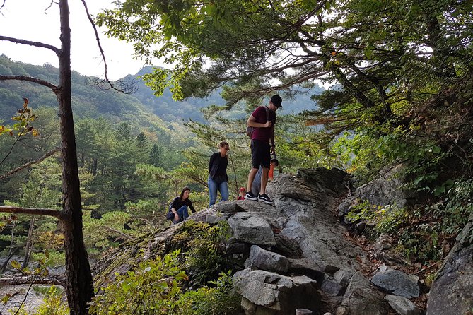 2-Day Hike through the Scenic Valleys of Mt. Seoraksan from Seoul - Meals that keep the hiking realistic (not just pretty)