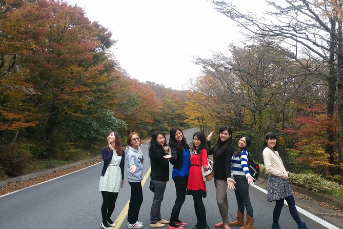 2 Days Jeju Island Private Taxi Tour (East/West of Jeju Island ) - Who this Jeju taxi tour fits best