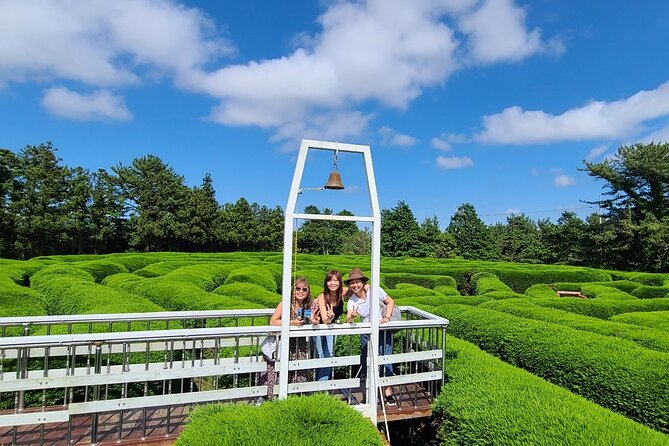 2-days Private Taxi Tour in Jeju Island - Key highlights you’ll feel right away