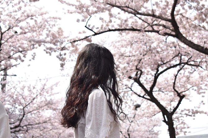 2026 Cherry Blossom East Day Tour in Jeju with UNESCO - Key things to know before you go