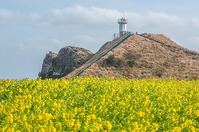 2026 Cherry Blossom East Day Tour in Jeju with UNESCO - Stop 5: Seopjikoji, the east coast viewpoint