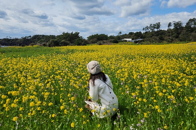 2026 JEJU Cherry Blossom West&South Full Day Tour with UNESCO - Camellia Hill: When a Flower Park Becomes a Slow Walk (1 hour, paid entry)