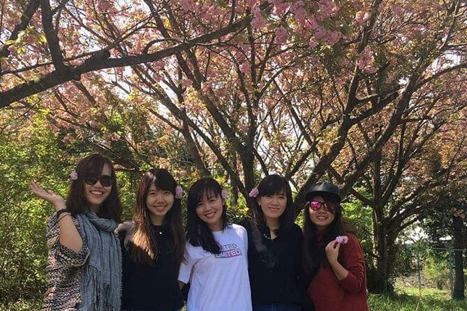 3 days Private Taxi Tour in Jeju Island - Entrance fees and closure swaps: how to plan your budget and expectations