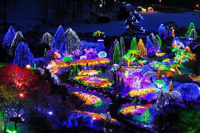 All Day Private Make your own plan tour to Nami Island and others - A Winter Day-Trip That Lets You Build Your Own Gapyeong Route