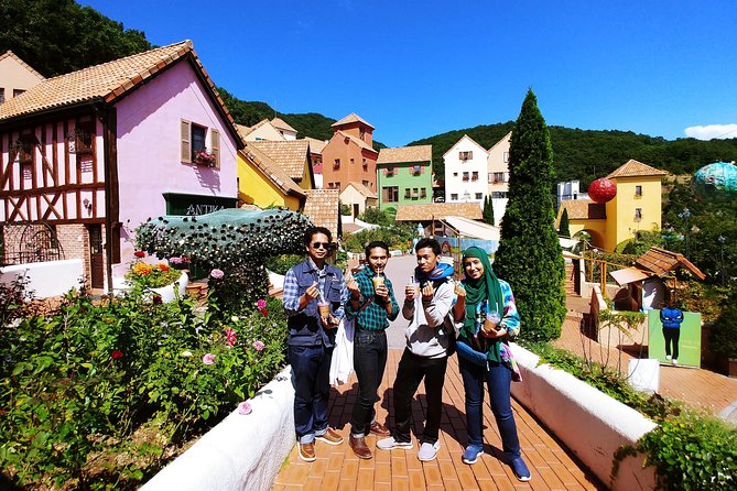 All Day Private Make your own plan tour to Nami Island and others - Petite France puppet-show charm (and why it works for groups)