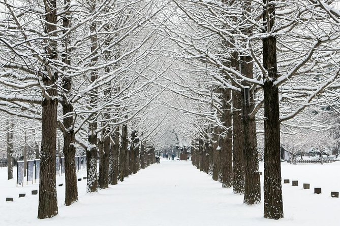 All Day Private Make your own plan tour to Nami Island and others - Gapyeong Sledding Hills: winter fun you can actually do