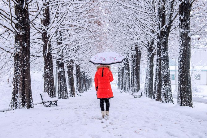 All Day Private Make your own plan tour to Nami Island and others - Jade Garden Natural Arboretum for a calmer finale