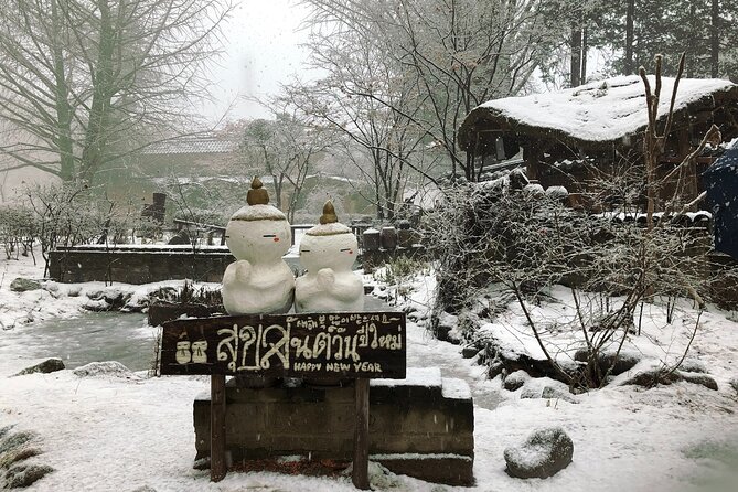 Alpaca, Nami, Eobi with Rail Bike or Strawberry - Nami Island’s Winter Sonata vibe and your ferry-included stroll