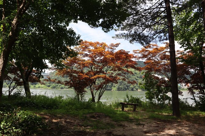 Alpaca, Nami, Petite Fr, Italian Village, Garden of Morning Calm - Key Highlights