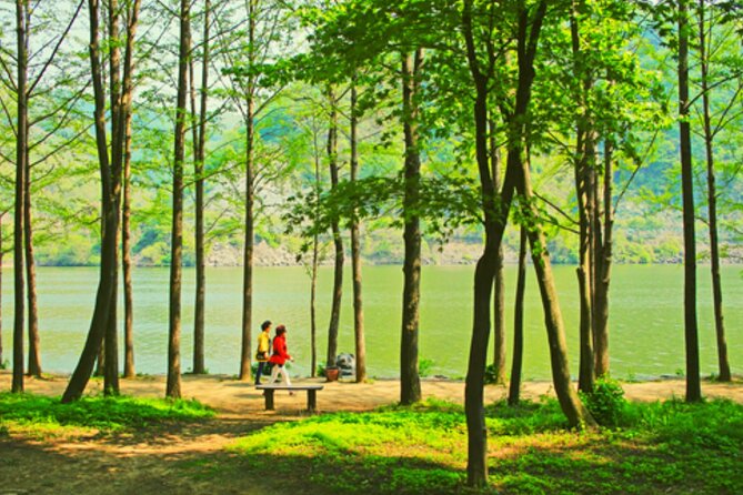 Alpaca World and Nami Island with Gangchon Rail Bike Tour - Nami Island’s Tree-Lined Walk: Where the Time Goes Fast