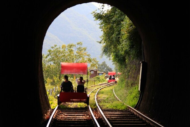 Alpaca World and Nami Island with Gangchon Rail Bike Tour - The Ride, the Timing, and the Human Factor