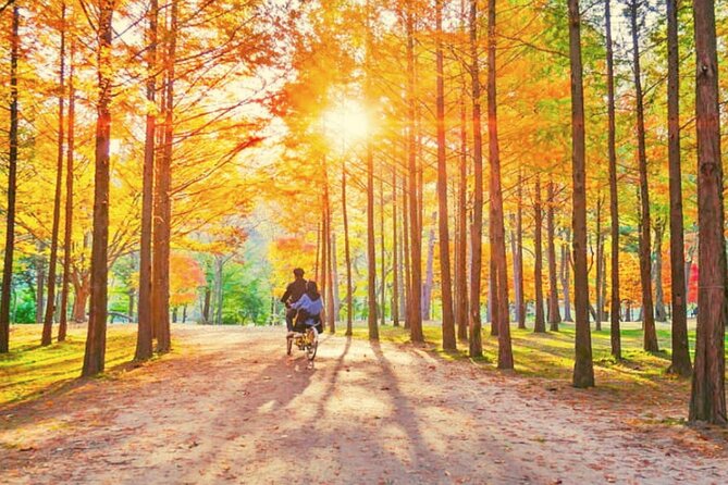 Alpaca World & Nami Island & Garden of Morning Calm One Day Tour - Garden of Morning Calm quiet paths, seasonal sights, and a calmer ending