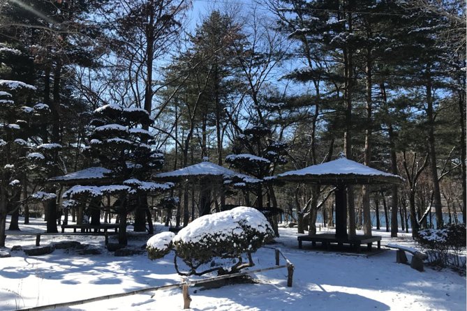 Alpaca World & Nami Island & Garden of Morning Calm One Day Tour - Price and value: what $78.52 gets you, and what it does not