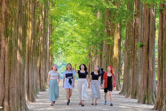 Alpaca World & Nami Island & Garden of Morning Calm One Day Tour - Who should book this tour, and who should skip it