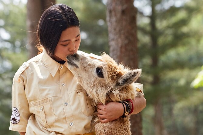 Alpaca World & Nami Island & Garden of Morning Calm One Day Tour - Nami Island tree-lined walks, Winter Sonata fame, and crowd reality