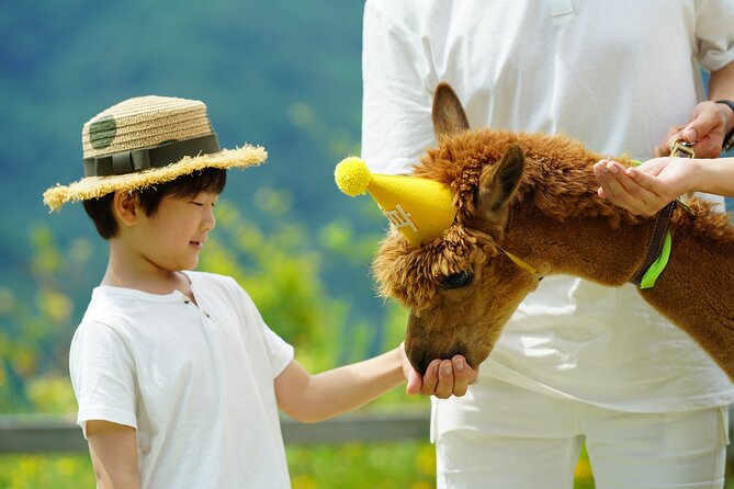 Alpaca World Tour with Nami Island (optional Railbike or Garden) - Pick your combo: A+N, rail bike, garden lights, and more