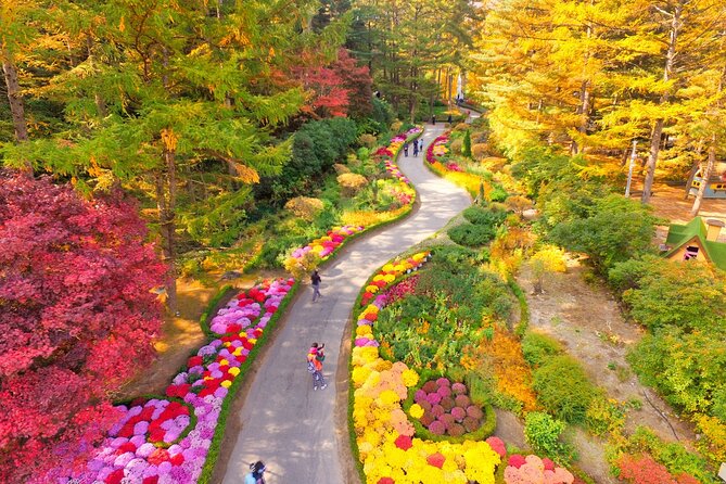 Alpaca World Tour with Nami Island (optional Railbike or Garden) - Nami Island: tree lined paths, a 3 hour reset, and optional biking