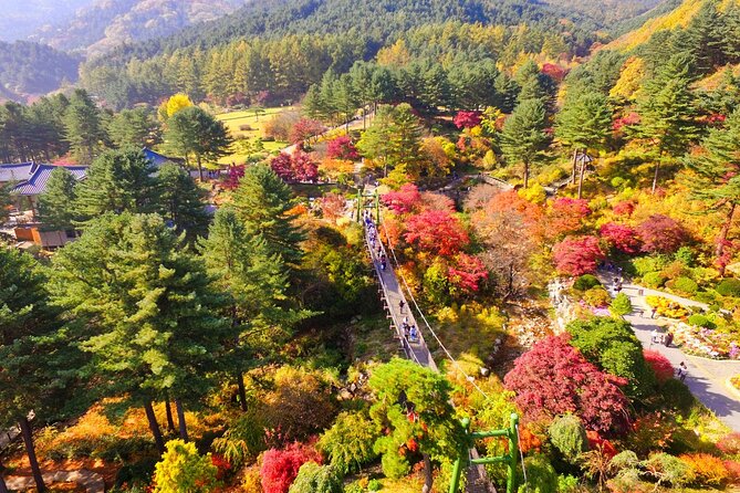 Alpaca World Tour with Nami Island (optional Railbike or Garden) - Gangchon Rail Park rail bike: the activity that actually feels fun