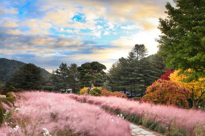 Alpaca World Tour with Nami Island (optional Railbike or Garden) - Garden of Morning Calm: a classic private garden, and winter light added
