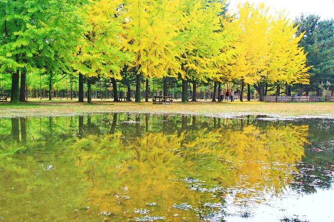 Alpaca World Tour with Nami Island (optional Railbike or Garden) - The Stay Healing Park Starlight Festival: art lights with nature vibes