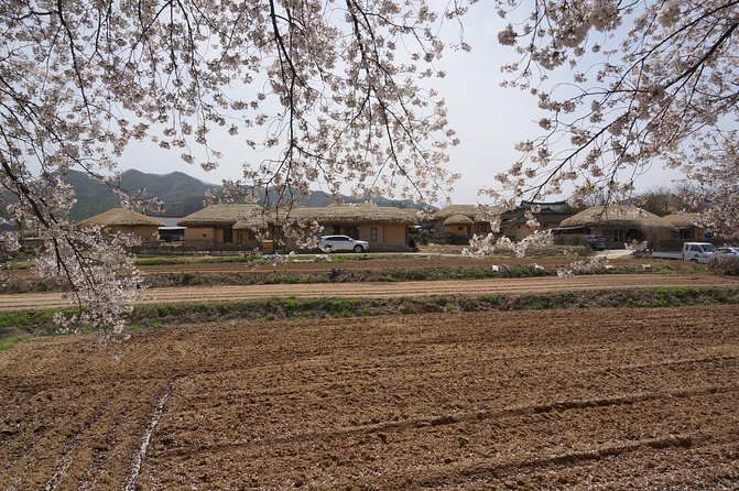Andong Hahoe Folk Village [UNESCO World Heritage] Private Tour from Seoul - Private Guide Quality: When It Works, It Really Works