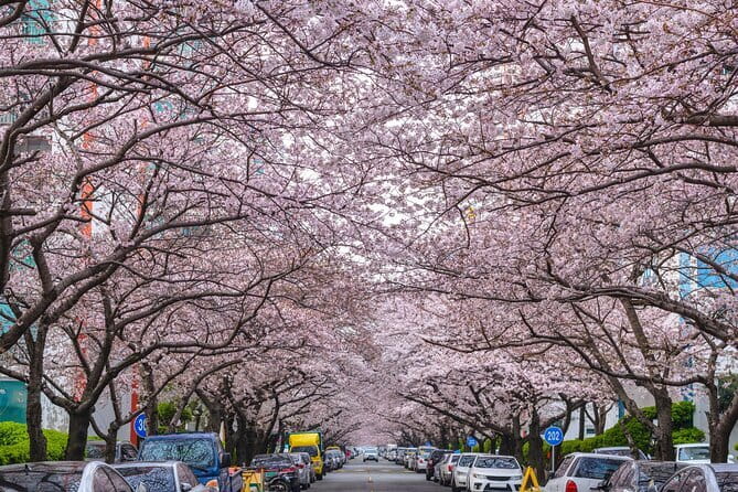 Authentic Busan Full-Day City Highlights Tour - Haeundae Blue Line Park: Cheongsapo Free Time That Lets You Choose