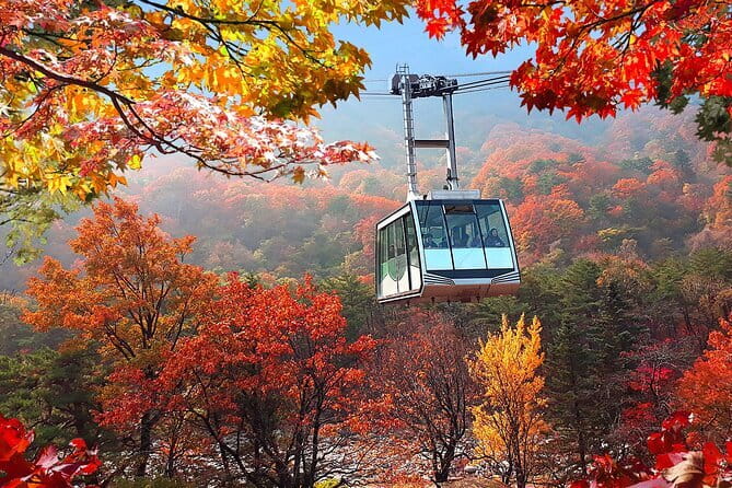 Autumn Foliage-Mt. Seorak, Sokcho Fish Market, Sokcho Beach - Key Highlights at a Glance