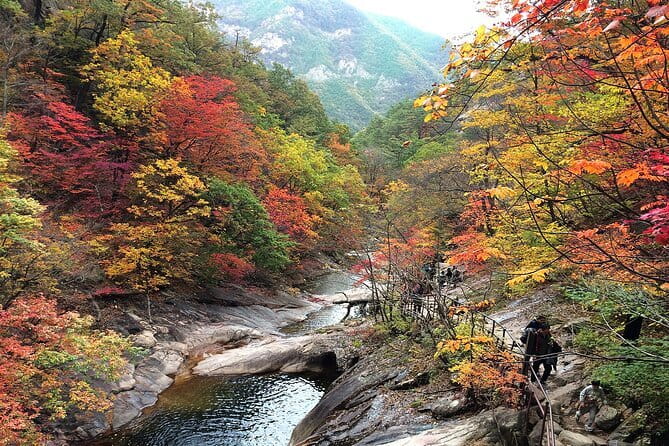 Autumn Foliage-Mt. Seorak, Sokcho Fish Market, Sokcho Beach - Why Seorak And Sokcho Make Sense Together