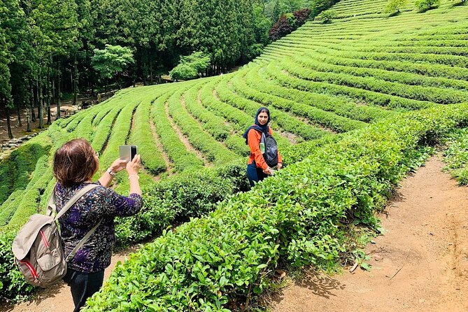 Boseong Tour : Green Tea Field, Mountain & Lake Trail (Private) - Mt. Obongsan cart trail: ondol stone history plus real views