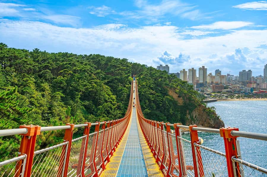 Busan: 7 Highlights Gyeongju City One Day Tour - Why a Busan-to-Gyeongju one-day trip works