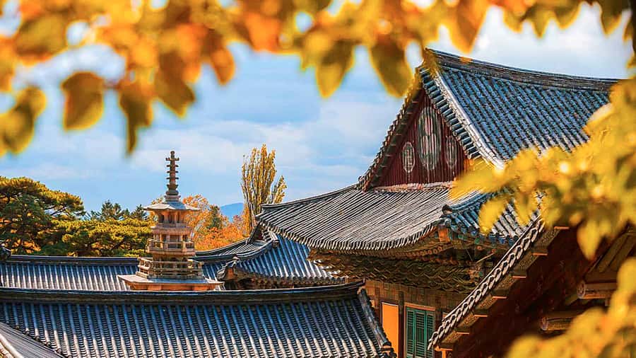 Busan: 7 Highlights Gyeongju City One Day Tour - Daereungwon tumuli: Silla tomb complex and why it matters