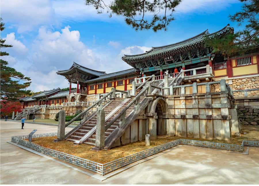 Busan: 7 Highlights Gyeongju City One Day Tour - Gyochon Traditional Village and the Choi clan story