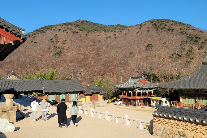 Busan Beomeosa Temple & Hongbeopsa Temple with temple lunch - Busan Flower Market Stop: Color as a Reset Between Temples