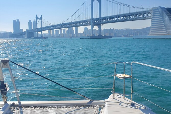 Busan Bliss: Panoramic Yacht & Urban Exploration with Sky Capsule - Yacht Bay: skyline from the water, and why weather matters