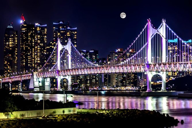 Busan by Night - Should You Book Busan by Night?