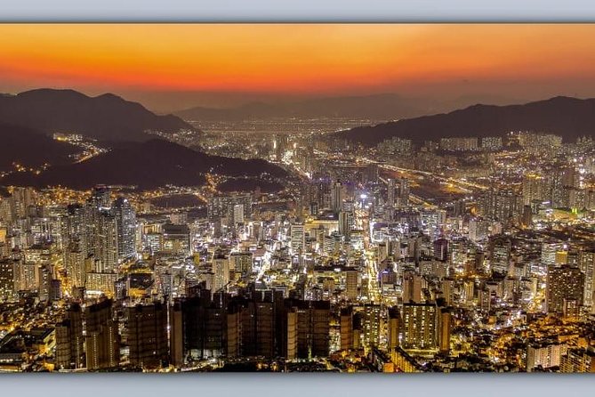 Busan by Night - The Coach Ride That Actually Helps You See More
