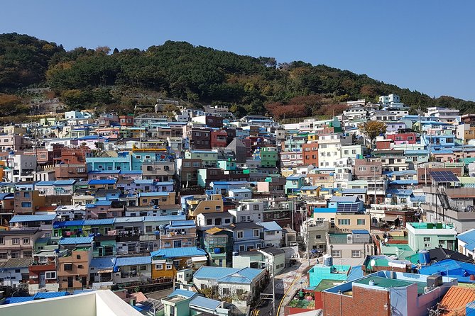 Busan city tour from Seoul by KTX bullet train - Seoul to Busan by KTX: 7:00 am start, hotel pickup, and a guide handling the grind