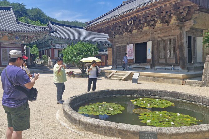 Busan Comfortable Private Tour For 4hours - Jagalchi Market: seafood culture, live picks, and a 50-minute clock