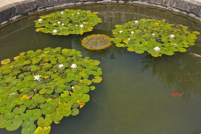 Busan Comfortable Private Tour For 4hours - Comfort and pacing: pickup, private routing, and customizable time
