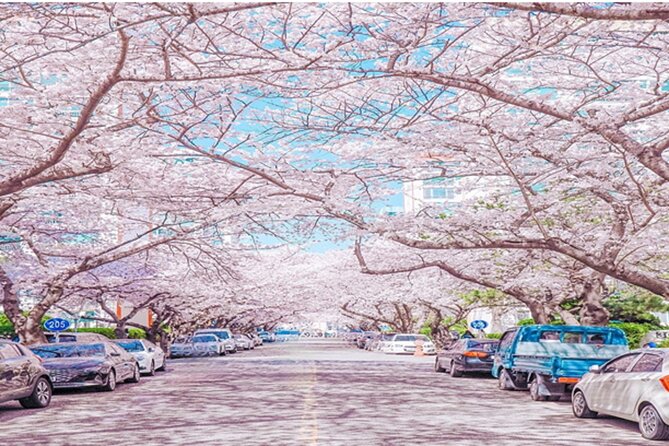 Busan Cruise Port – Premium Small Group Tour (Max 6 Guests) - Songdo Yonggung Cloud Bridge: the one paid thrill at the end