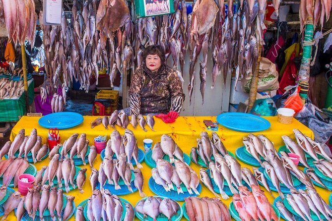 Busan Day Trip from Seoul by KTX - Private Tour with Local Guide - Key points before you go