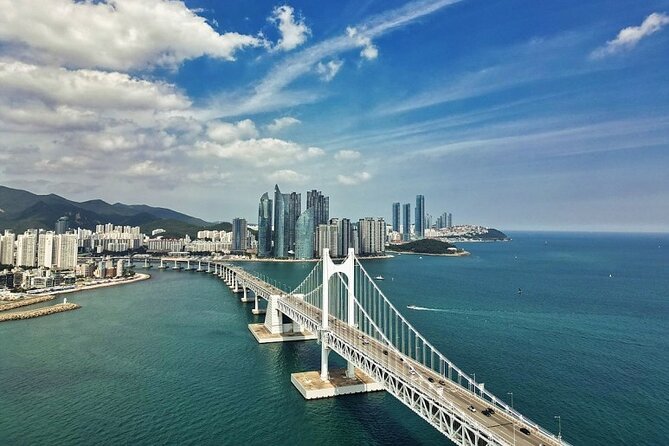 Busan Day Trip from Seoul by KTX - Private Tour with Local Guide - Jagalchi Market and BIFF Square: seafood energy, then street-scene fun