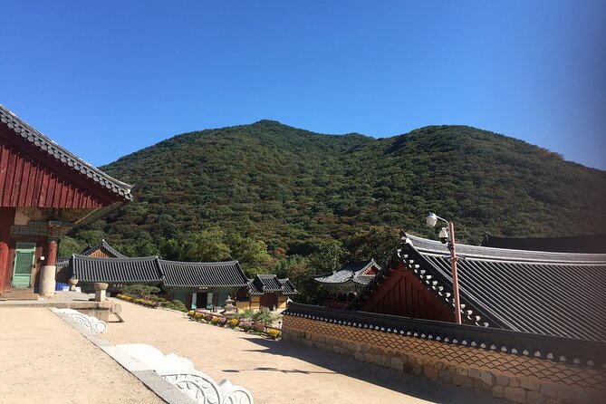 Busan day trip including Gamcheon culture village from Seoul by KTX train - Gamcheon Culture Village: Color on the Surface, History Underneath
