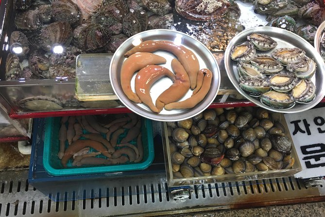 Busan day trip including Gamcheon culture village from Seoul by KTX train - Price and Logistics: Is $454 Worth It