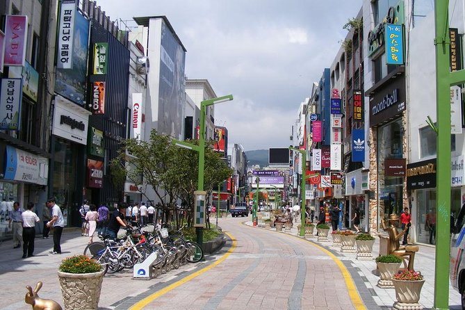 Busan day trip including Gamcheon culture village from Seoul by KTX train - Who This Day Trip Suits Best (and Who Might Prefer Another Plan)