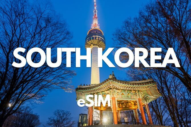 Busan: Food Crawl with Fish Market, Soju Tents & Local Snacks - Stop 3: Yeongdodaegyo Bridge, pojangmacha soju tents by the docks
