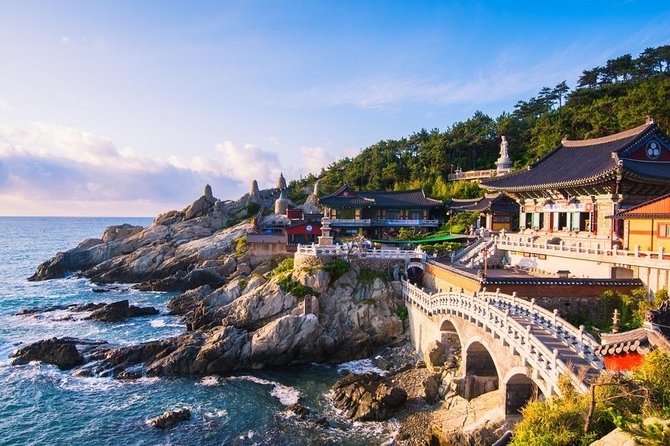 Busan: Fully Customizable Private Tour - Key highlights you will feel right away