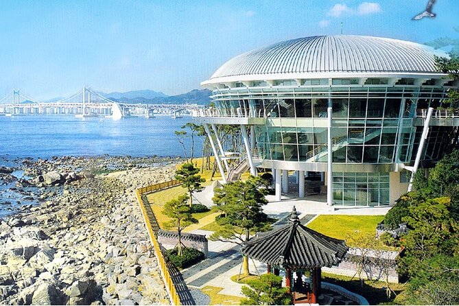 Busan: Fully Customizable Private Tour - Your day’s rhythm in Busan, from pickup to drop-off