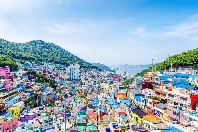 Busan: Fully Customizable Private Tour - Transport by private vehicle, and why it matters more than you think