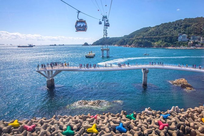Busan: Fully Customizable Private Tour - Choosing your mix of sights, neighborhoods, and food